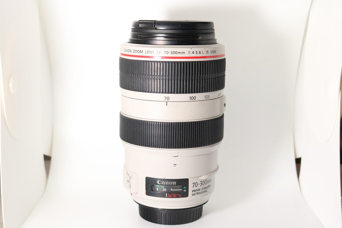 Canon EF 70-300mm f/4-5.6L IS USM Lens