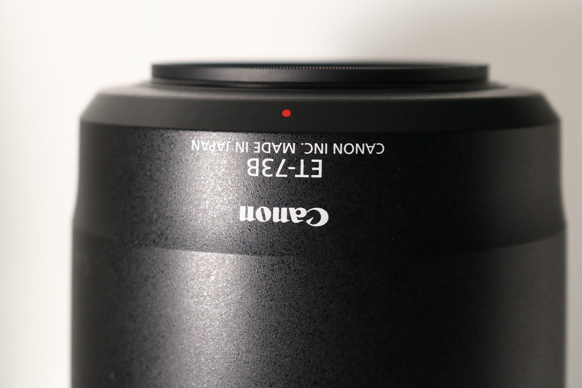 Canon EF 70-300mm f/4-5.6L IS USM Lens