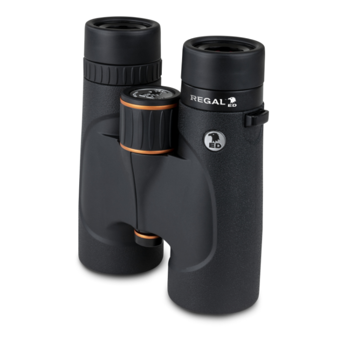 Celestron Regal ED 10x42 Roof Prism Binoculars - additional product view