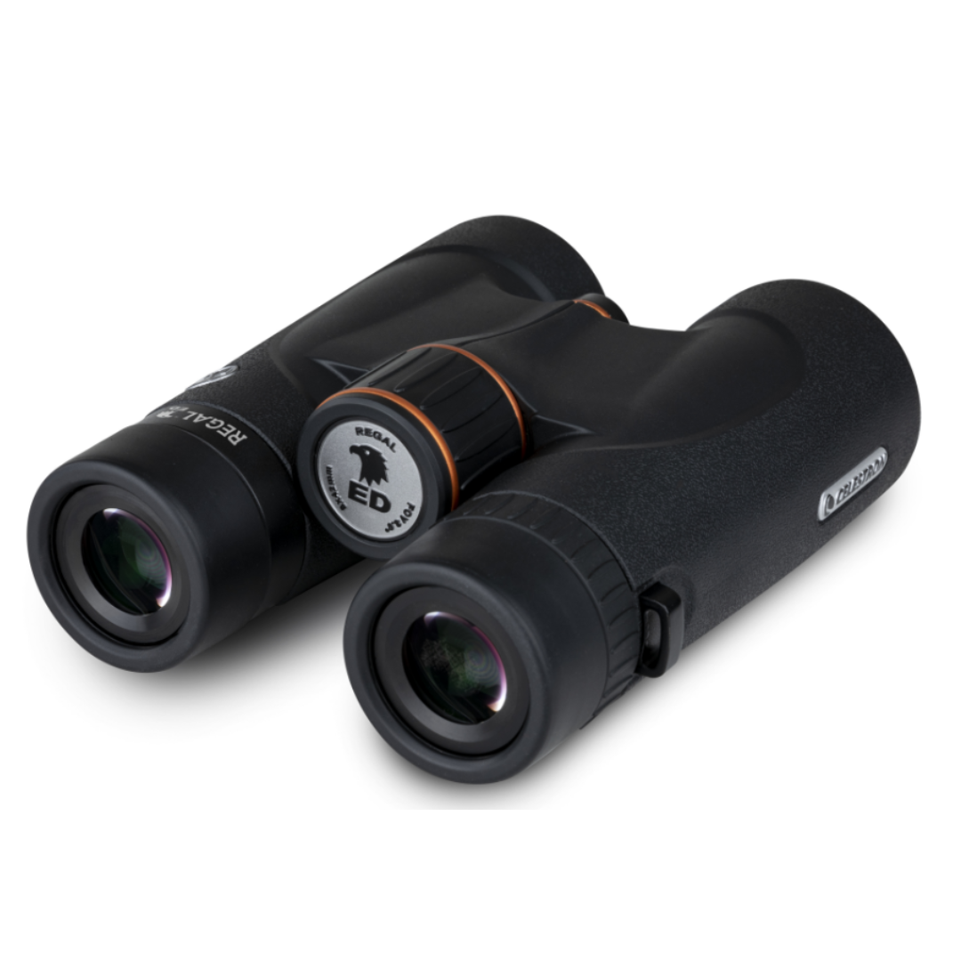 Celestron Regal ED 8x42 Roof Prism Binoculars - additional product view