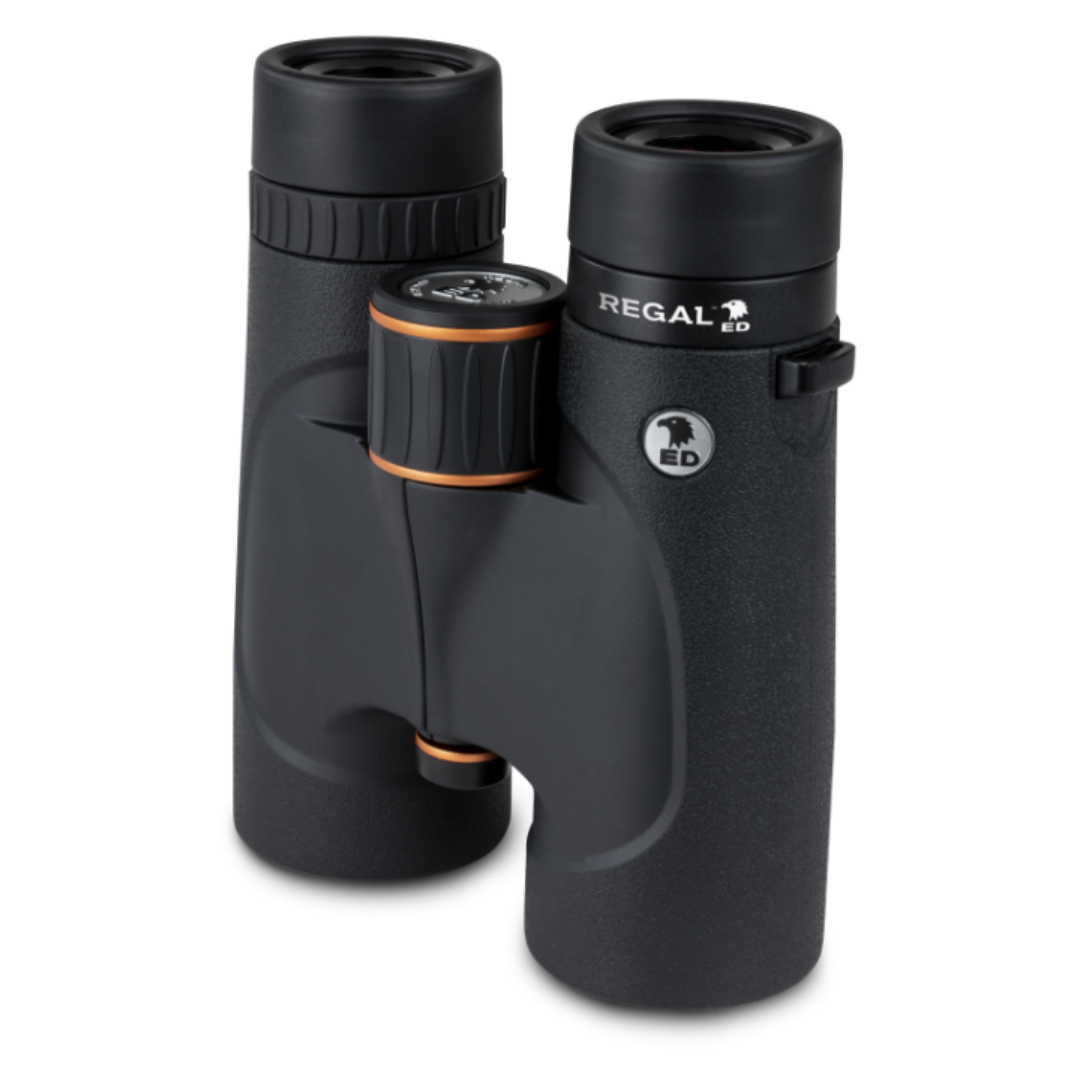 Celestron Regal ED 8x42 Roof Prism Binoculars - additional product view