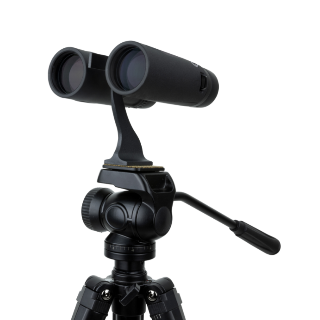 Celestron Regal ED 8x42 Roof Prism Binoculars - additional product view