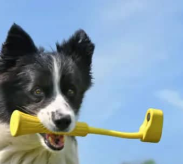 Insta360 Go 3 Fetch Stick - additional product view