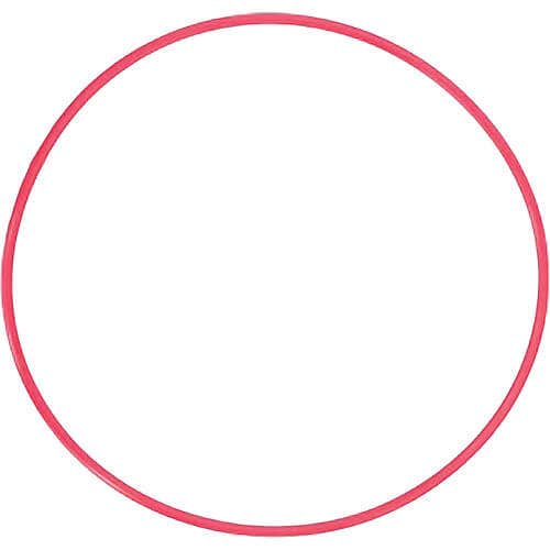 Olympus POL-050 o-ring.