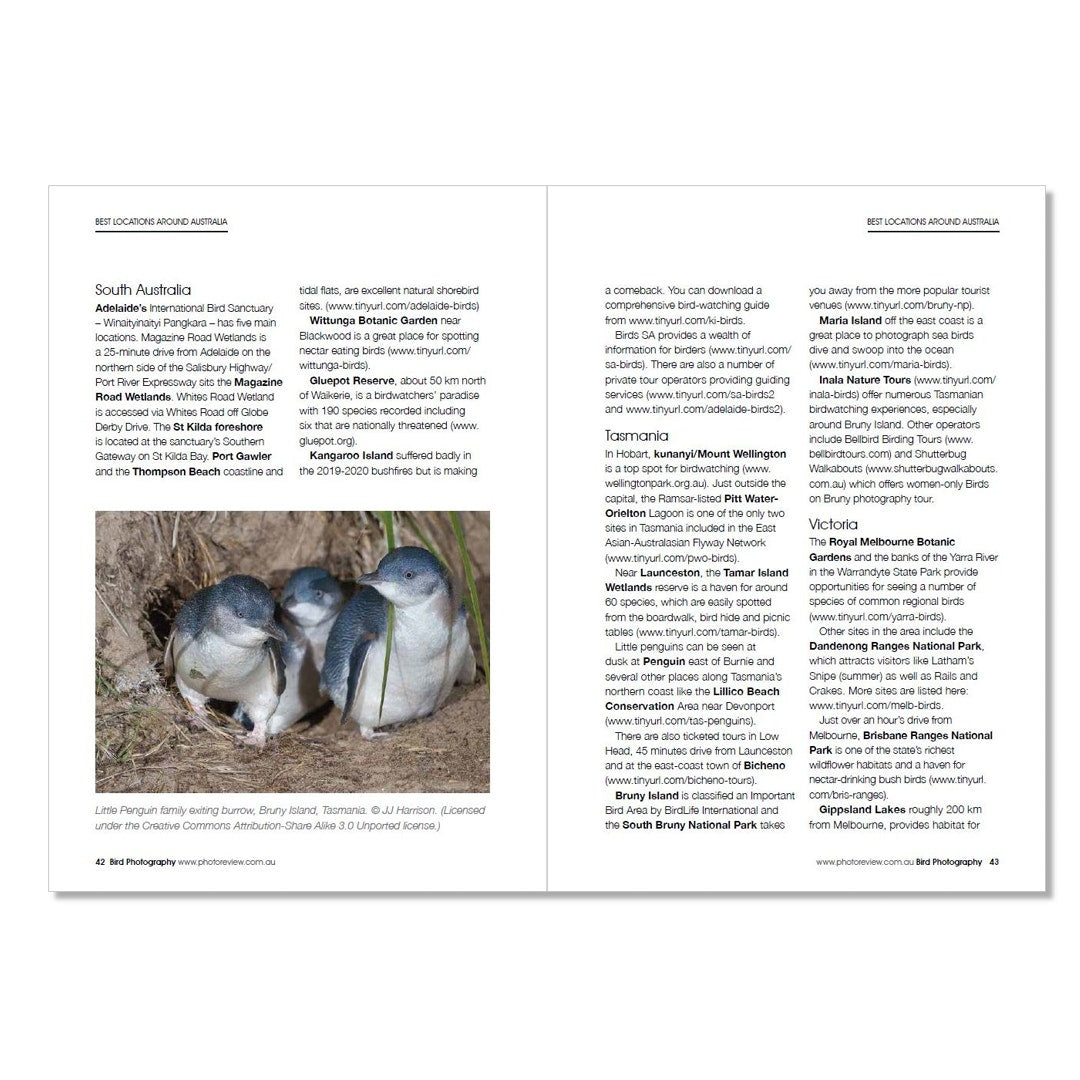Photo Review Pocket Guide - Bird Photography - additional product view