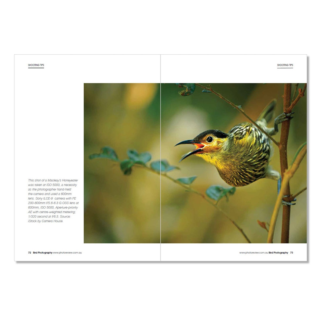 Photo Review Pocket Guide - Bird Photography - additional product view