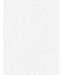 ProMaster Poly Cotton Backdrop, 6 by 10 feet, Solid White