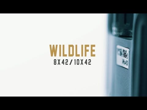 Steiner Wildlife 10x42 Binocular - additional product view