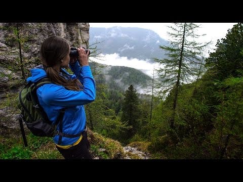 Steiner Wildlife 8x24 Binocular - additional product view
