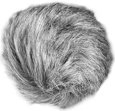 Zoom WSU-1 Universal Windscreen