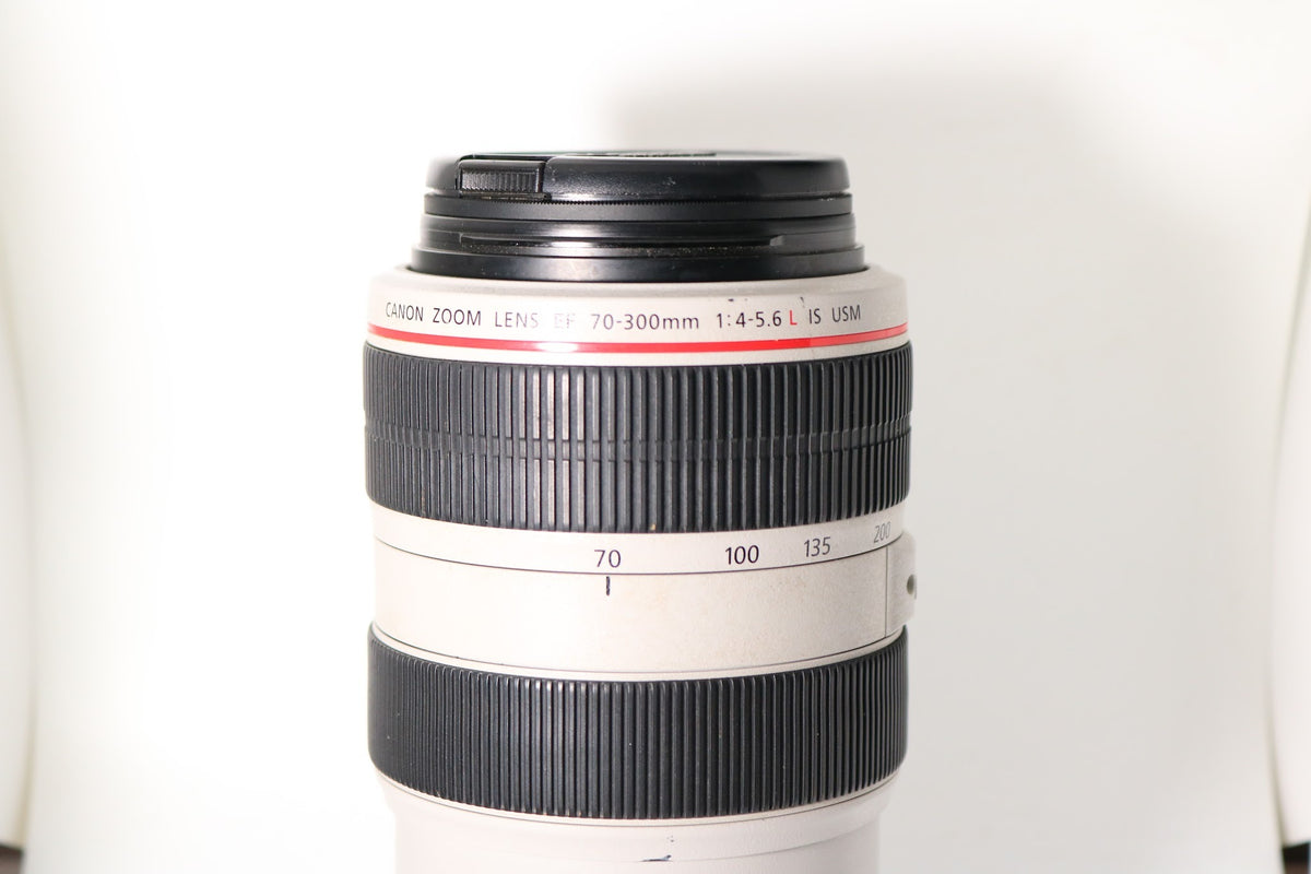 Canon EF 70-300mm f/4-5.6L IS USM Lens