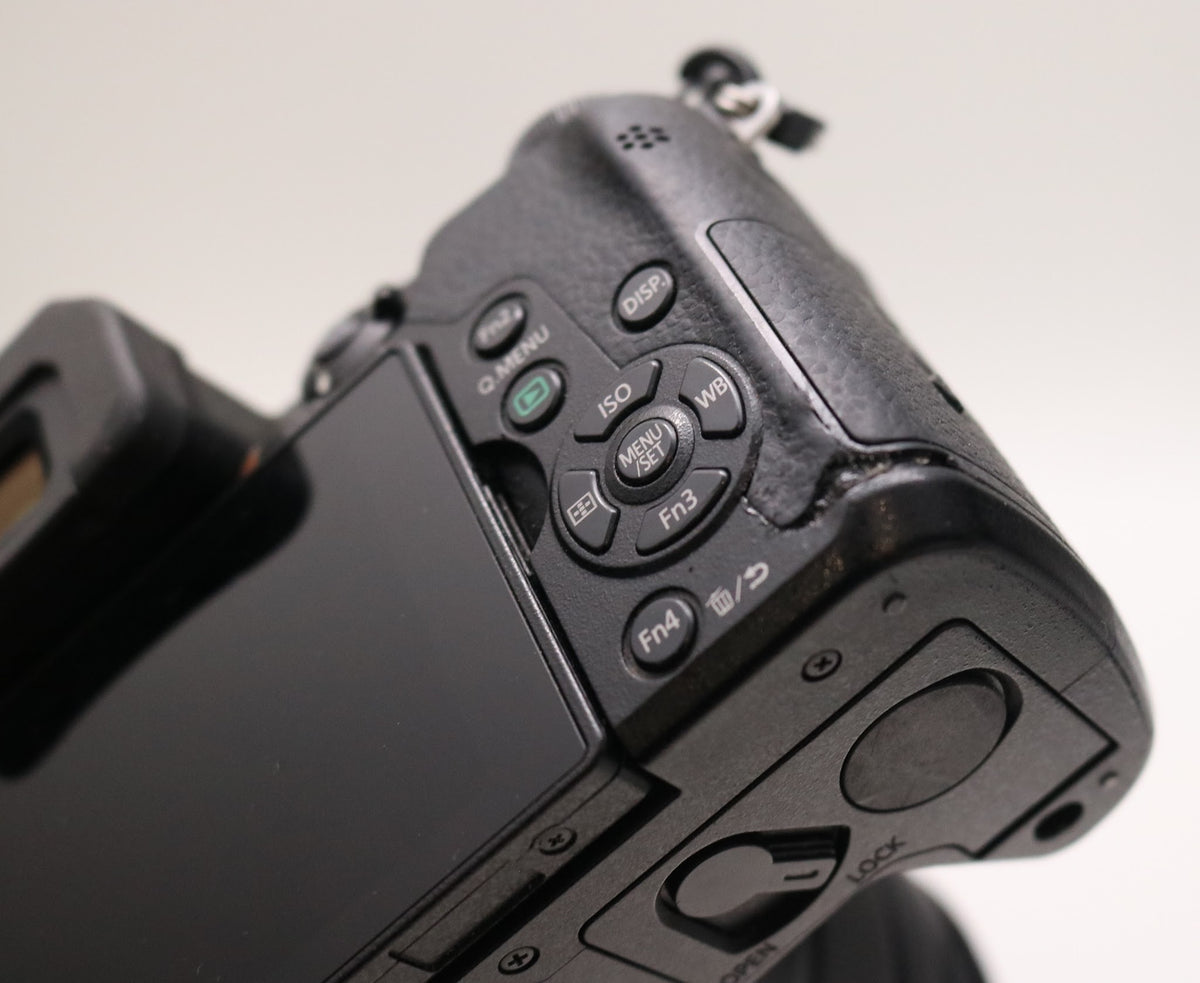 Panasonic Lumix G Camera with Lumix G 45-150mm f/4-5.6 Lens