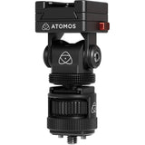 Atomos cold shoe mount