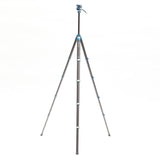 Benro Cyanbird Carbon Fibre Tripod, FS20PRO Hybrid Head, Flip Lock - additional product view