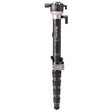 Benro Supdadupa Pro carbon fibre monopod