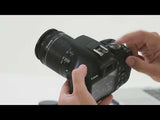 Canon EOS 1500D w/EF-S 18-55mm III Lens - Digital SLR Camera - additional product view
