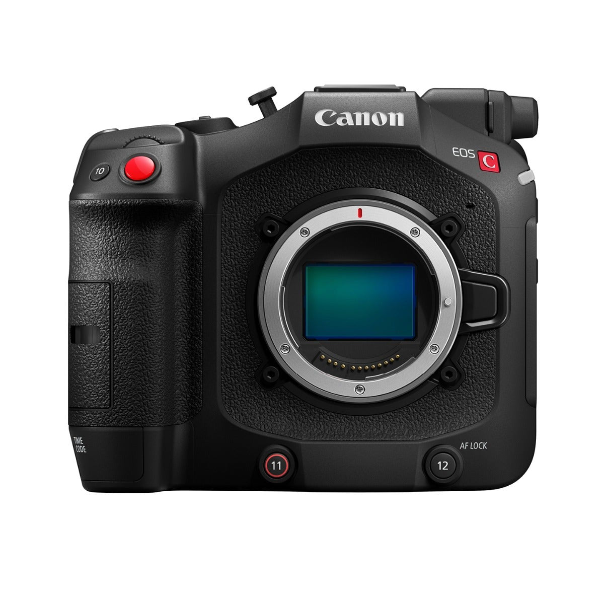 Canon EOS C80 compact Cinema EOS camera