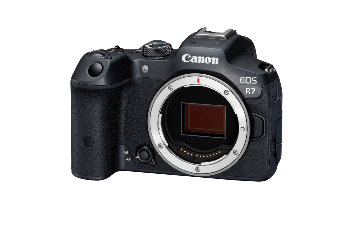 Canon EOS R7 Body Mirrorless Camera - additional product view