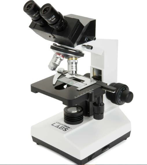 Celestron Labs CB2000C Compound Binocular Microscope