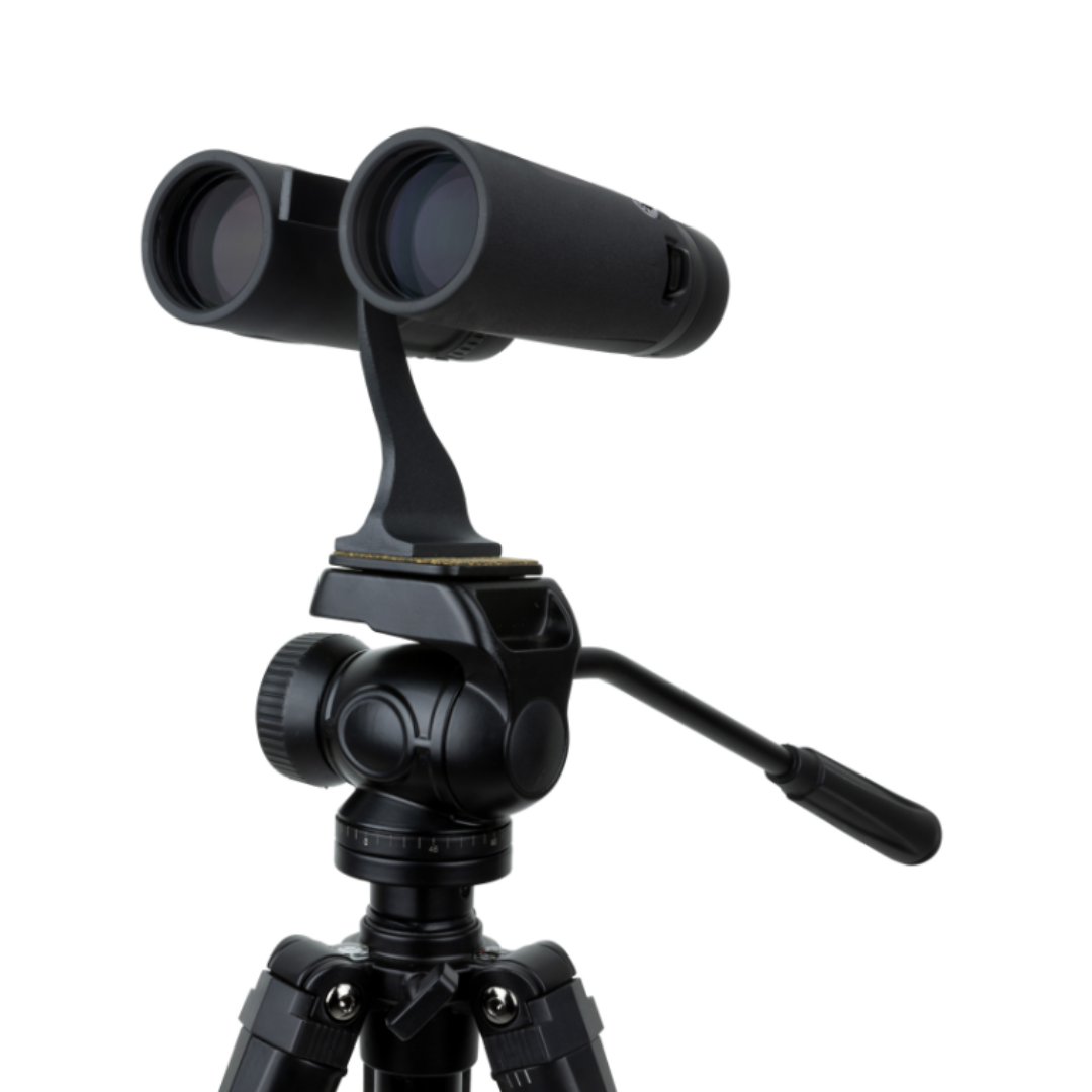 Celestron Regal ED 10x42 Roof Prism Binoculars - additional product view
