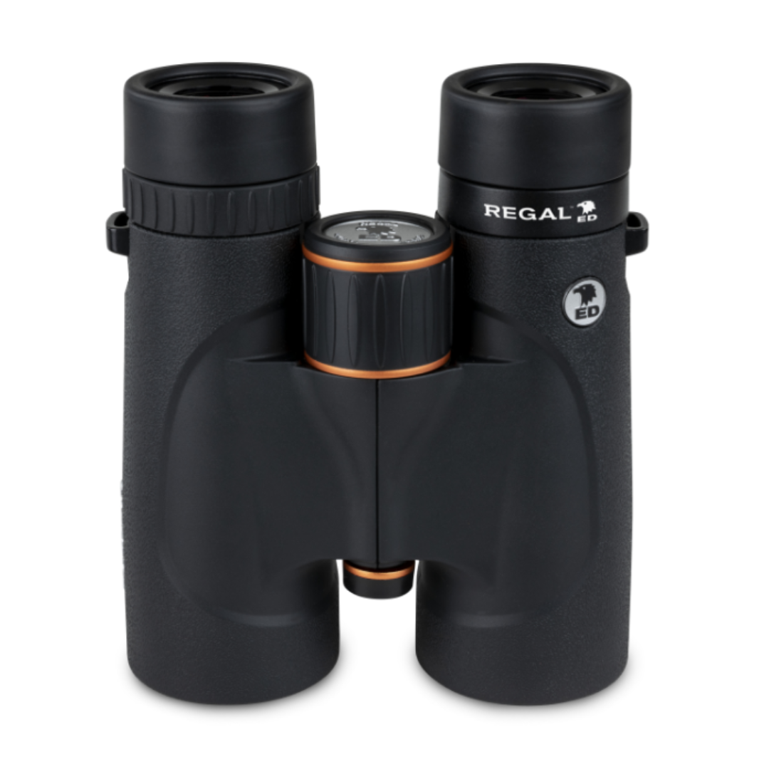 Celestron Regal ED 8x42 Roof Prism Binoculars - additional product view