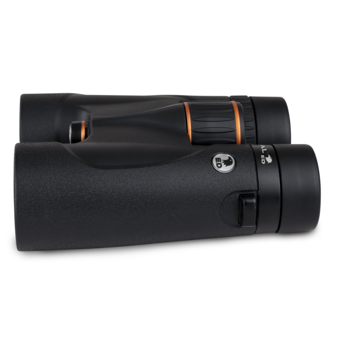 Celestron Regal ED 8x42 Roof Prism Binoculars - additional product view