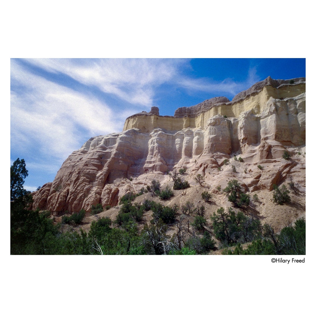 Harman Film 135-36 Harman Phoenix II 200 - additional product view
