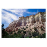 Harman Film 135-36 Harman Phoenix II 200 - additional product view