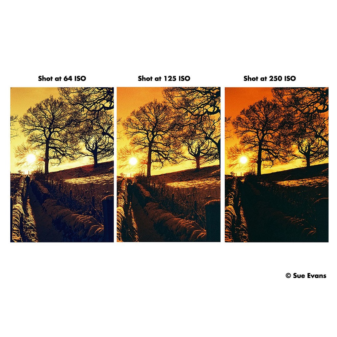 HARMAN FILM 135-36 HARMAN RED 125 - additional product view