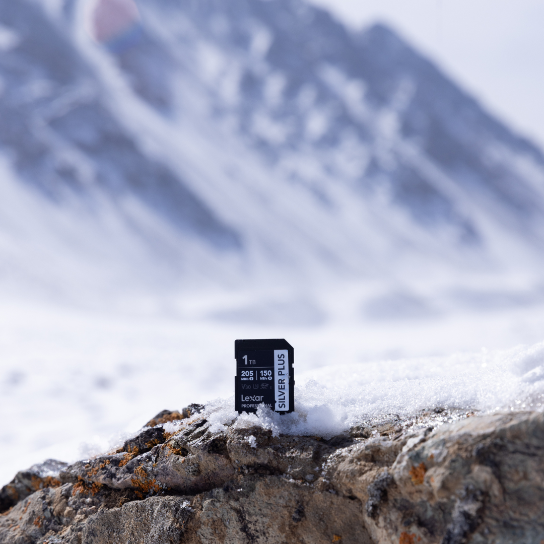 Lexar Professional 256GB Silver Plus SDXC Memory Card - additional product view