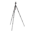 Manfrotto Befree GT XPRO Carbon Fiber Travel Tripod with 496 ball head