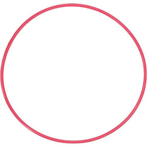 Olympus POL-050 o-ring.