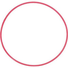 Olympus POL-EP01 o-ring.
