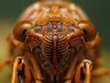 OM SYSTEM M.Zuiko ED 90mm f/3.5 Macro IS PRO Lens - Black - additional product view