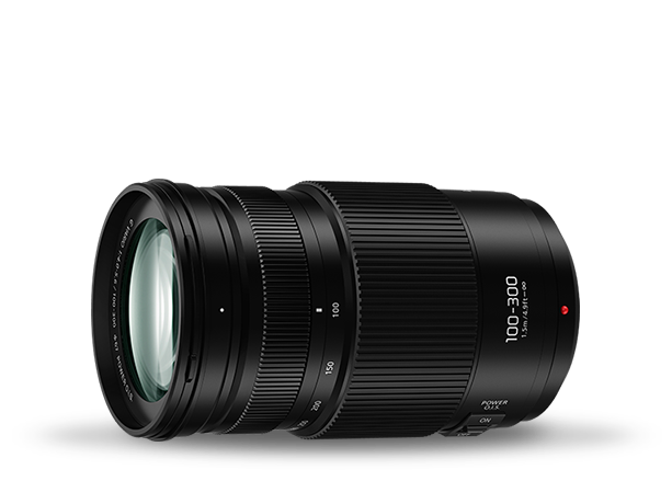 Panasonic Lumix G X Vario 100-300mm f/4.0-5.6 II Lens - additional product view