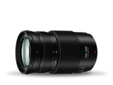 Panasonic Lumix G X Vario 100-300mm f/4.0-5.6 II Lens - additional product view