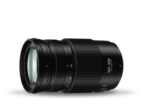 Panasonic Lumix G X Vario 100-300mm f/4.0-5.6 II Lens - additional product view