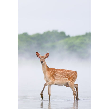 Panasonic Lumix S 100-500mm f/5-7.1 OIS Lens - additional product view