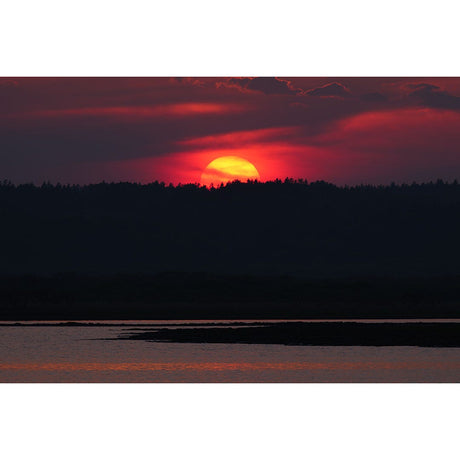 Panasonic Lumix S 100-500mm f/5-7.1 OIS Lens - additional product view