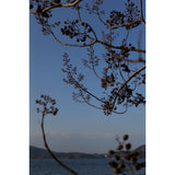 Panasonic Lumix S 24-60mm f/2.8 Lens - additional product view