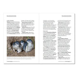Photo Review Pocket Guide - Bird Photography - additional product view