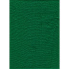 ProMaster Backdrop Poly Cotton, 10x20 feet, solid chroma green
