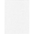 ProMaster Backdrop Poly Cotton, 10x20 feet, solid white