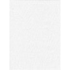 ProMaster Backdrop Poly Cotton, 10x20 feet, solid white