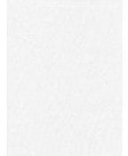 ProMaster Poly Cotton Backdrop, 6 by 10 feet, Solid White
