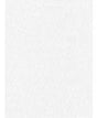 ProMaster Poly Cotton Backdrop, 6 by 10 feet, Solid White