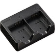 Ricoh BJ-12 Battery Charger