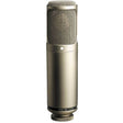 Rode K2 microphone