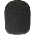 Rode WS2 windshield