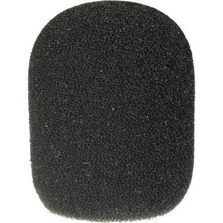 Rode WS2 windshield